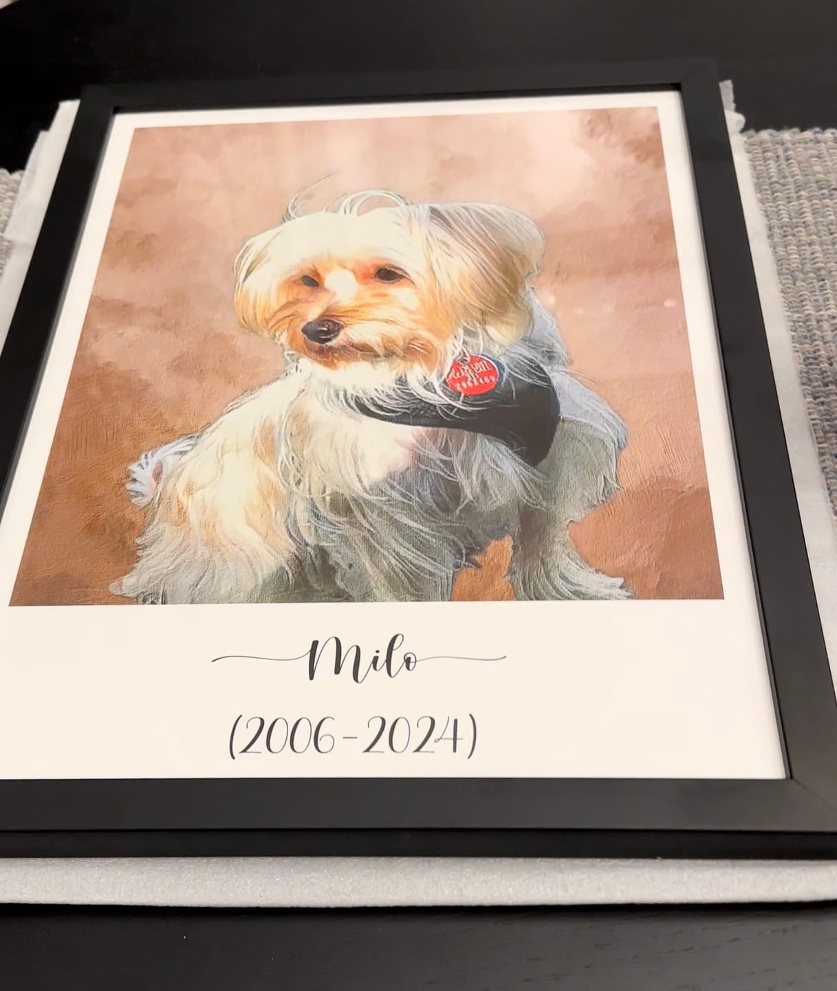Customer photo review of Custom Pet Portrait