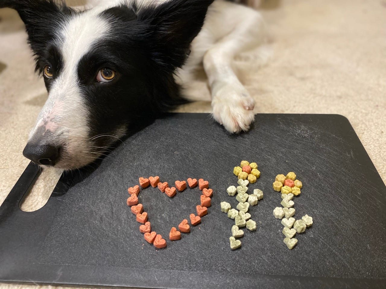 Customer photo review of Awesome Superfood Treat Bundle