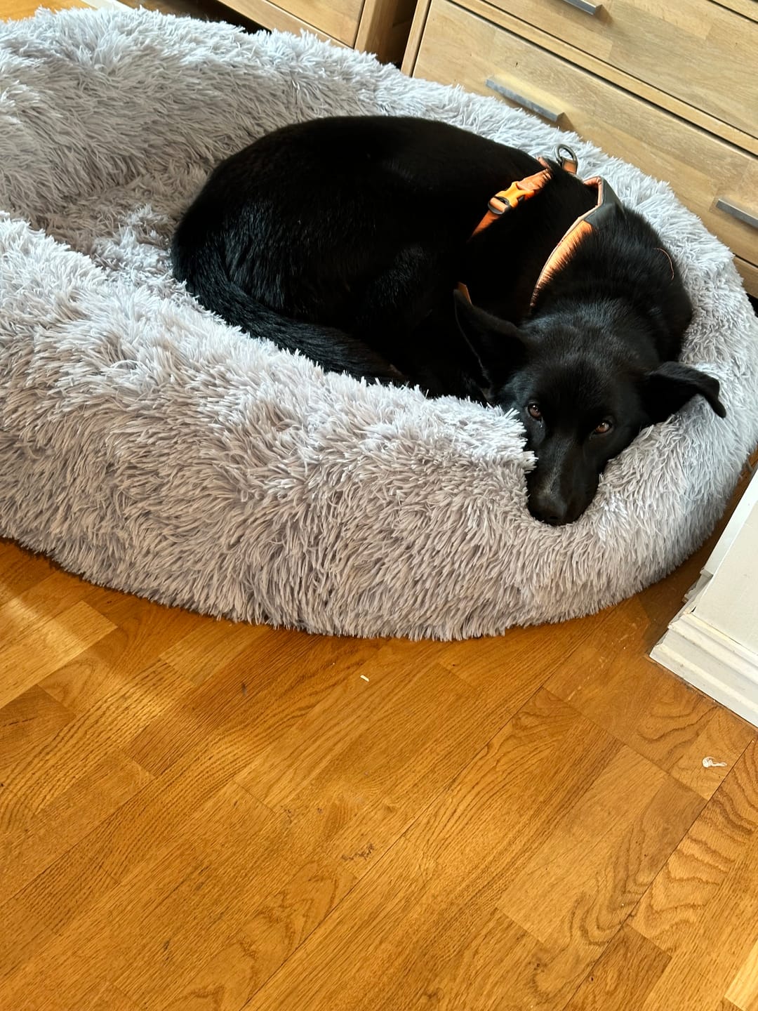 Customer photo review of CalmBed reservetrekk