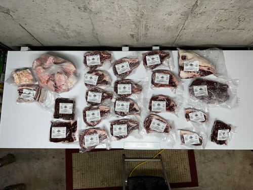 Customer photo review of Beef Meat Shares!  (Deposit)