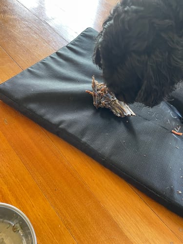 Customer photo review of Australian Roo Ribs