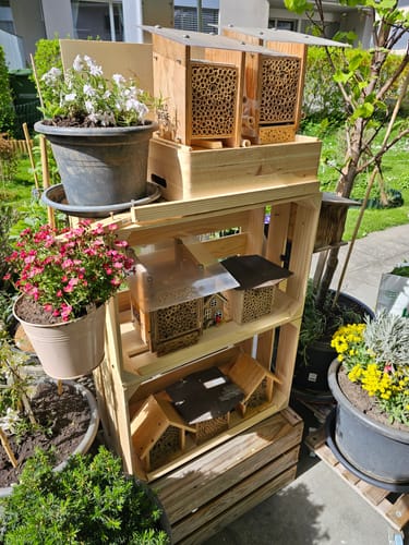 Customer photo review of BeeHome One