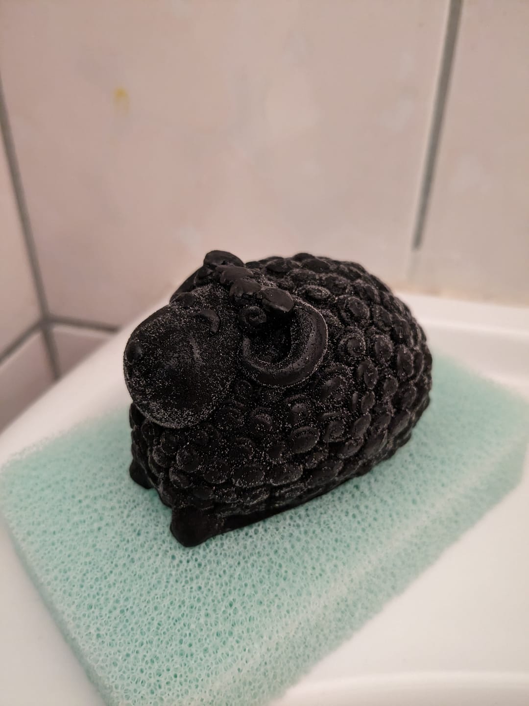 Customer photo review of Black Sheep