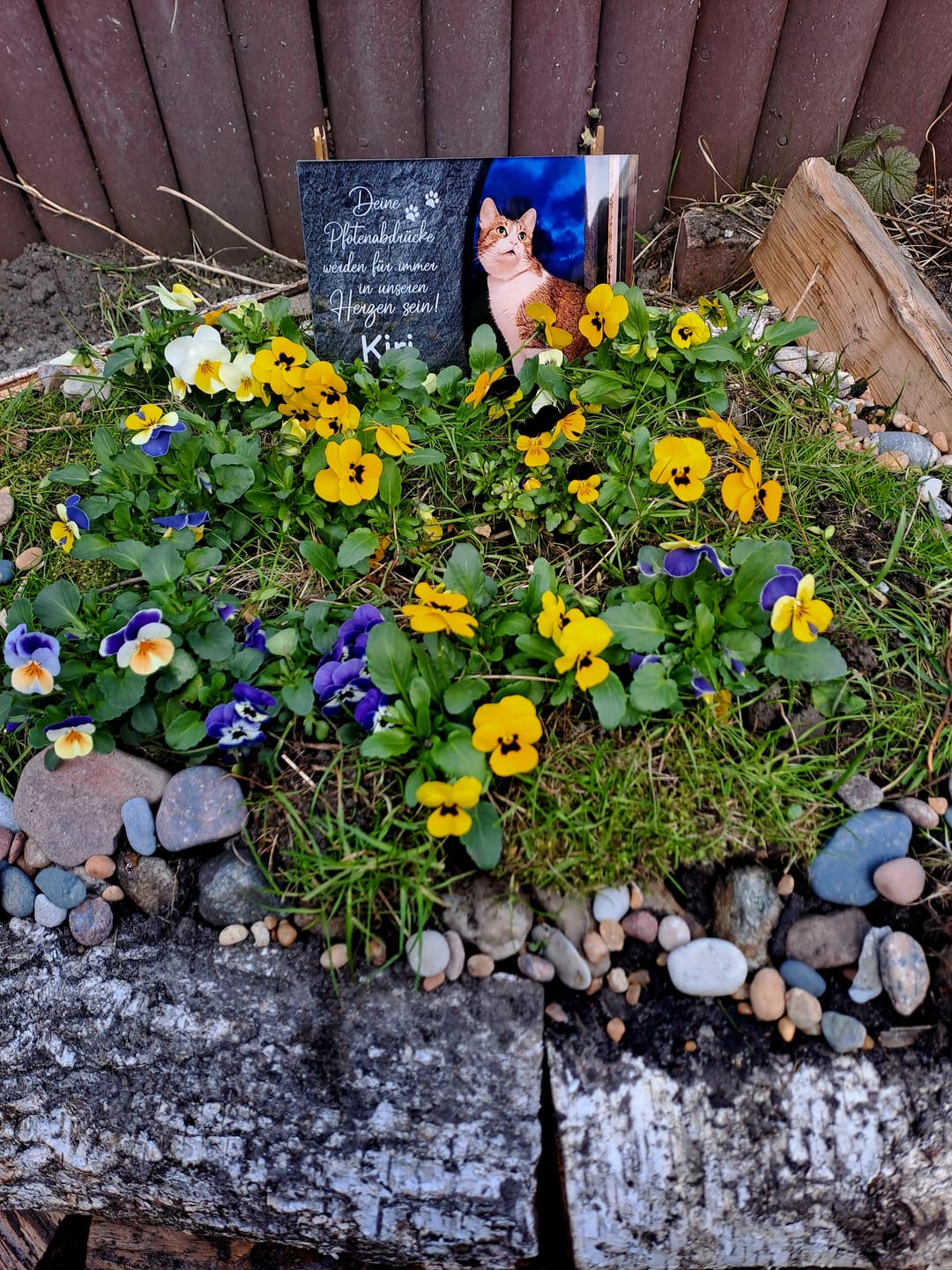 Customer photo review of Katzen Gedenktafel mit Foto & Spruch (UV- & Wetterfest)
