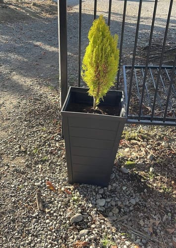 Customer photo review of Taper Square High Planter 37cm