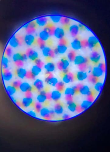 Customer photo review of #1 Kids Exploring Toy - Kids Miniscope