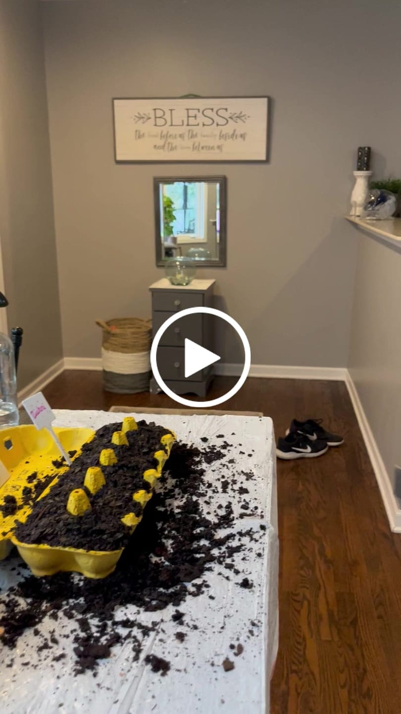 Customer video review of Organic Grey Striped Mammoth Sunflower Seeds - Helianthus annuus
