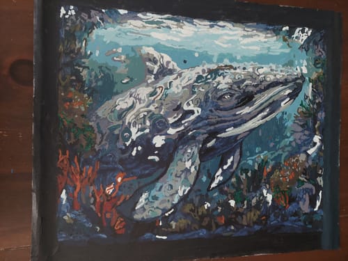 Customer photo review of Humpback Whale - Paint by Numbers