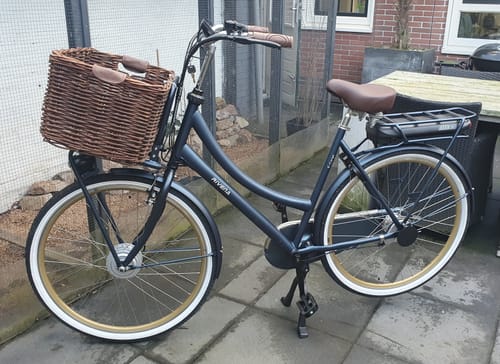 Customer photo review of E-Cargo N7