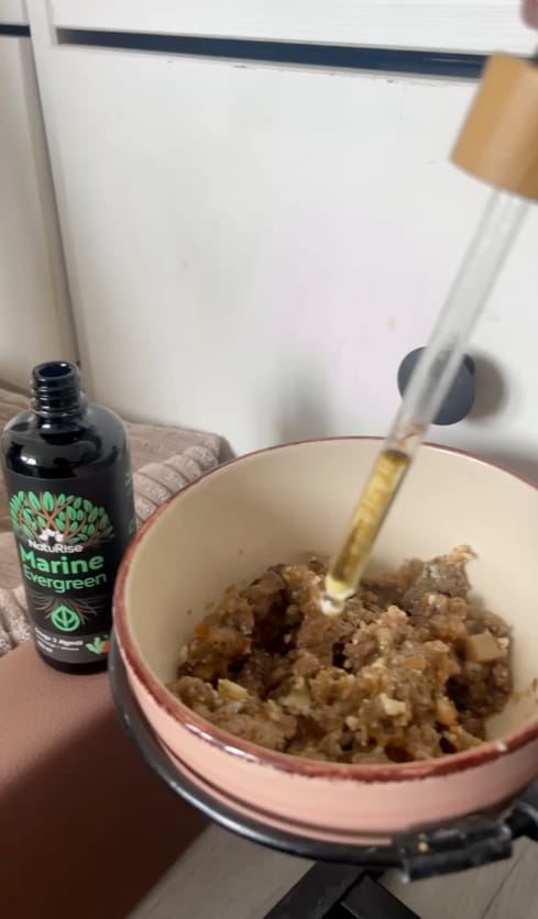 Customer photo review of Omega 3 Algenöl Haustiere