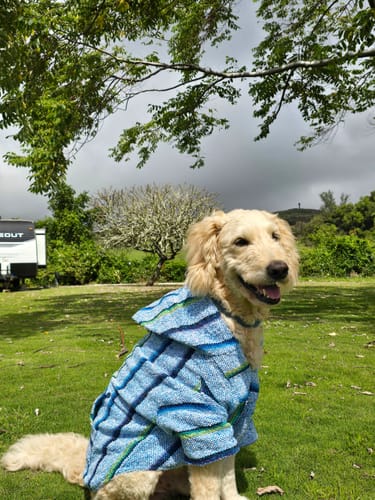 Customer photo review of Playa Poncho - Surprise Color