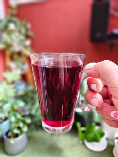 Customer photo review of Rosa Jamaica / Hibisco