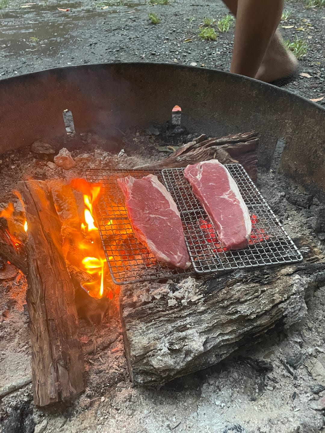 Customer photo review of Ultralight Titanium Grill