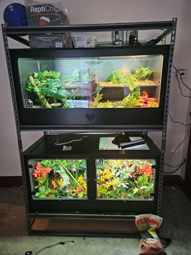 Customer photo review of XT4 BIO (48Lx24Dx24H) - STACKABLE
