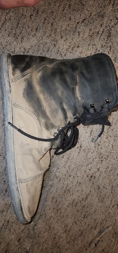 Customer photo review of Bruin | Black Bear