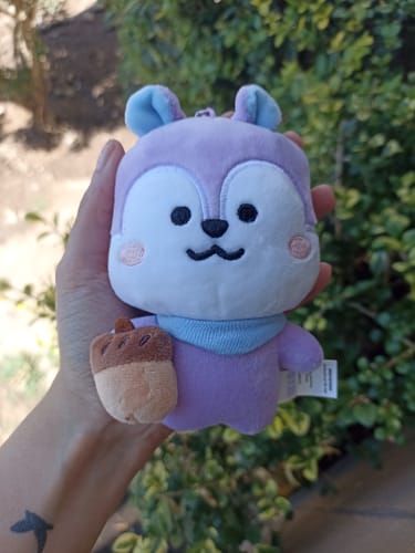 Customer photo review of [Official] BT21 "INSIDE MANG" PLUSH KEYRING