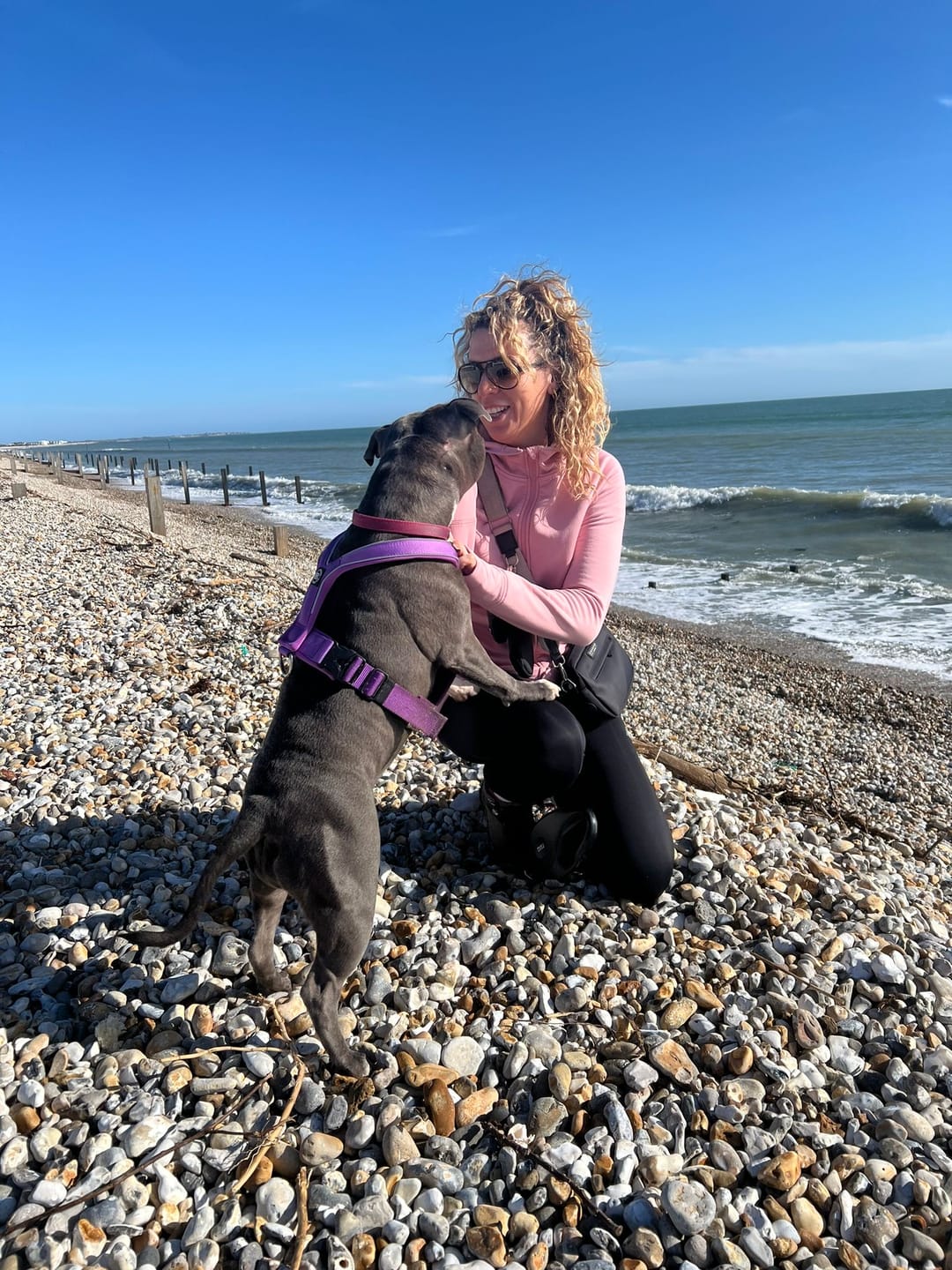 Customer photo review of Slip on Padded Comfort Harness | Non Restrictive & Reflective - Purple