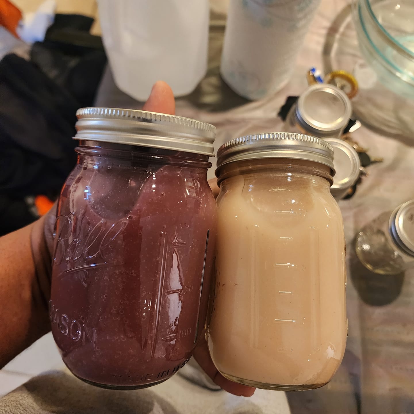Customer photo review of Jamaican Purple Sea Moss (Raw, Wildcrafted)