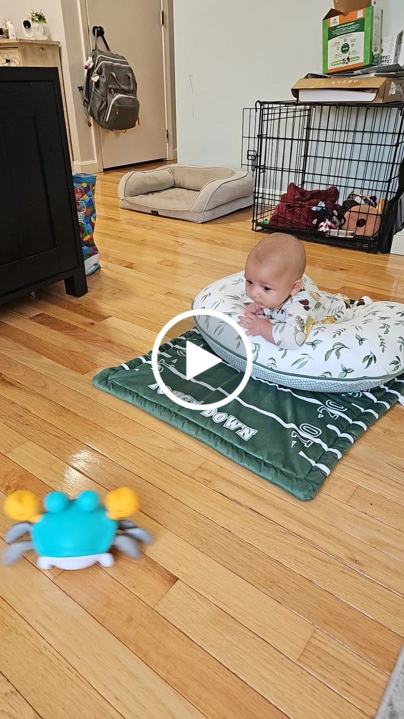 Customer video review of The Crawly Crab™