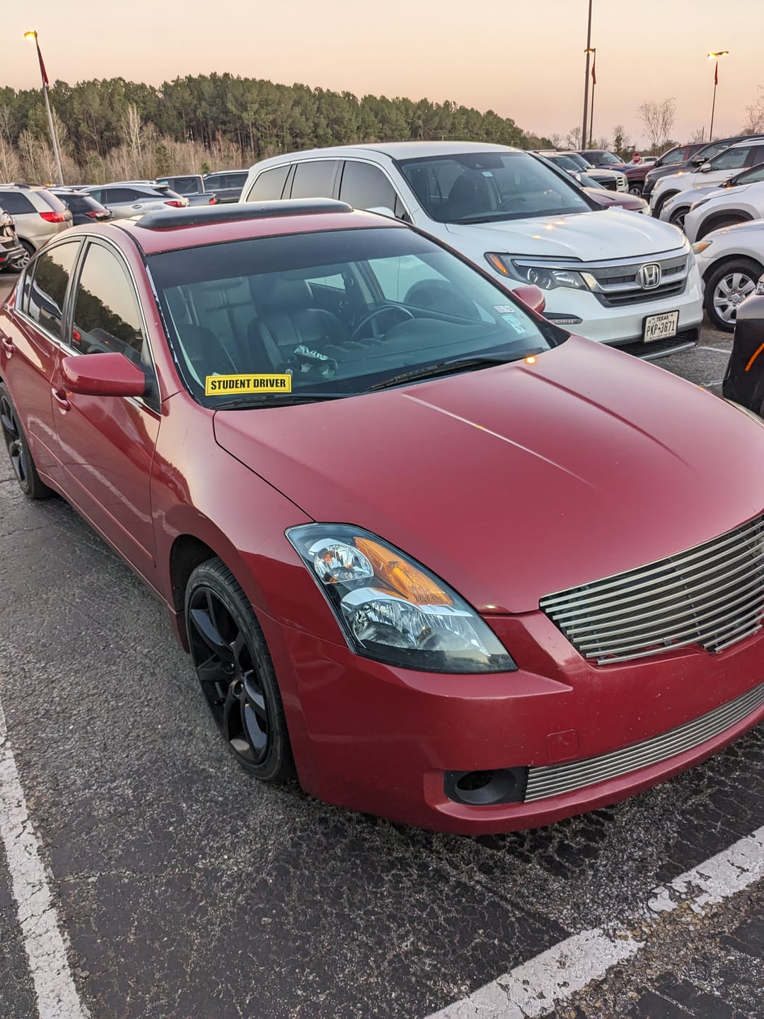 Customer photo review of Student Driver Sticker