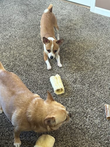 Customer photo review of Beef Cheek Rolls