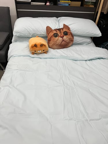 Customer photo review of Plain Dream