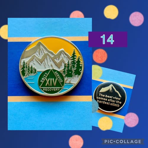 Customer photo review of 1 to 60 Year Mountain Scene Specialty AA Recovery Medallion - Tri-Plated Chip/Coin/Token