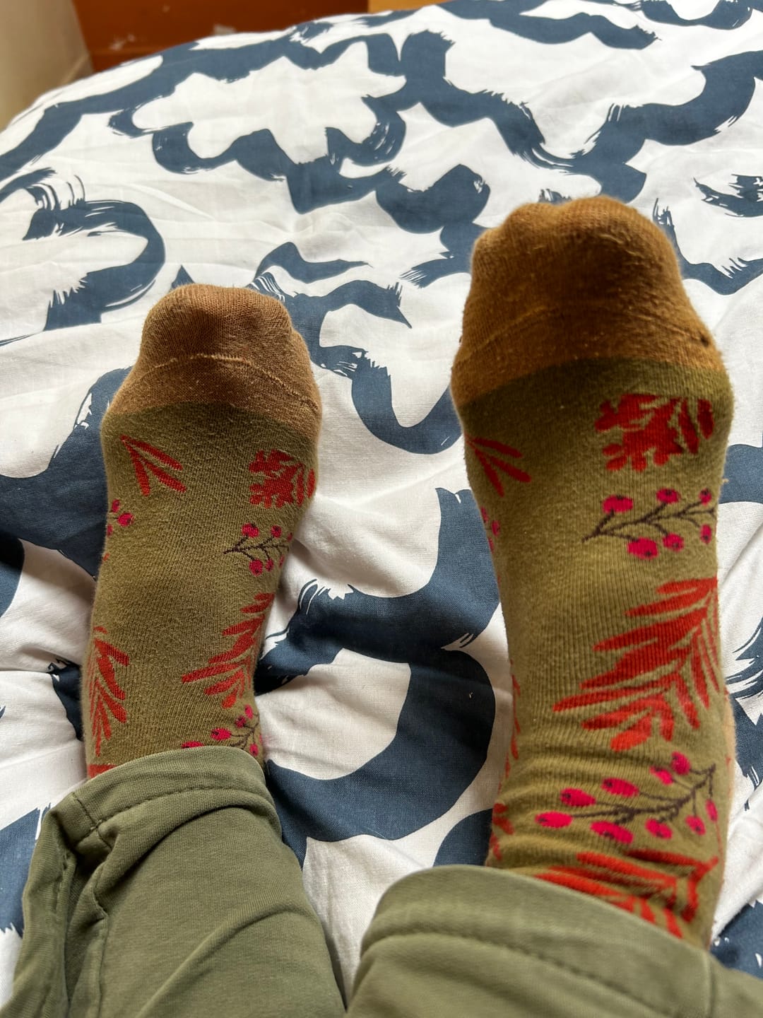 Customer photo review of 5 Pairs Women Vintage Warm Socks