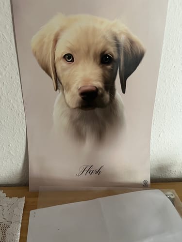 Customer photo review of Öl Pawtrait