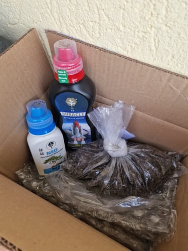 Customer photo review of BONSAI STARTER KIT CB®
