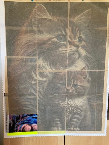 Customer photo review of 5D Diamond Painting AB Steine Cats