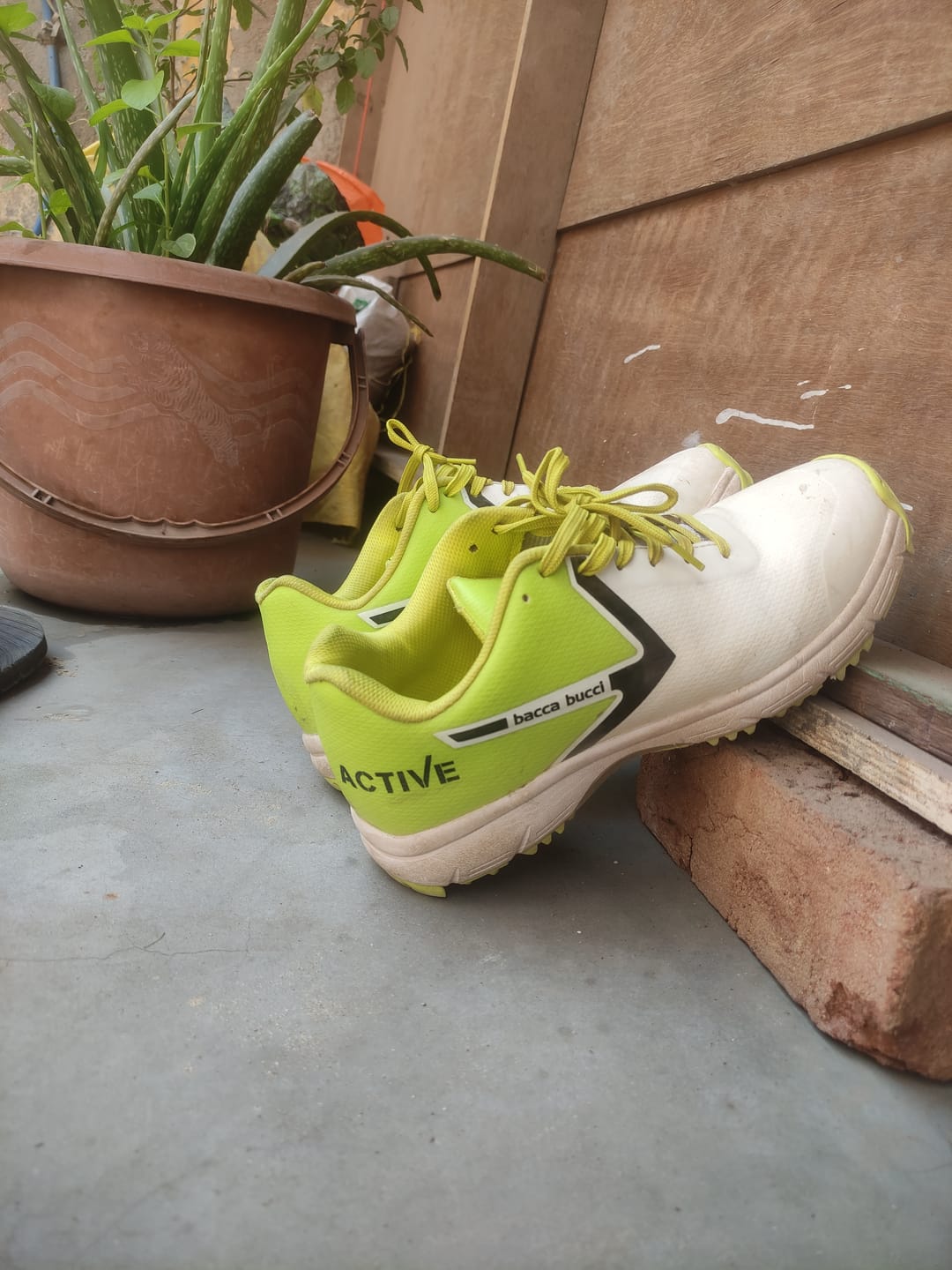 Customer photo review of Bacca Bucci Centurion Glide