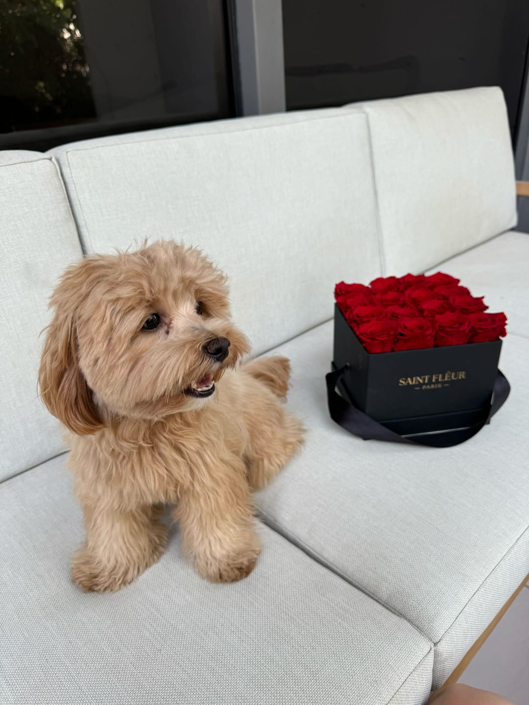 Customer photo review of Classic Square - Black Classic Box