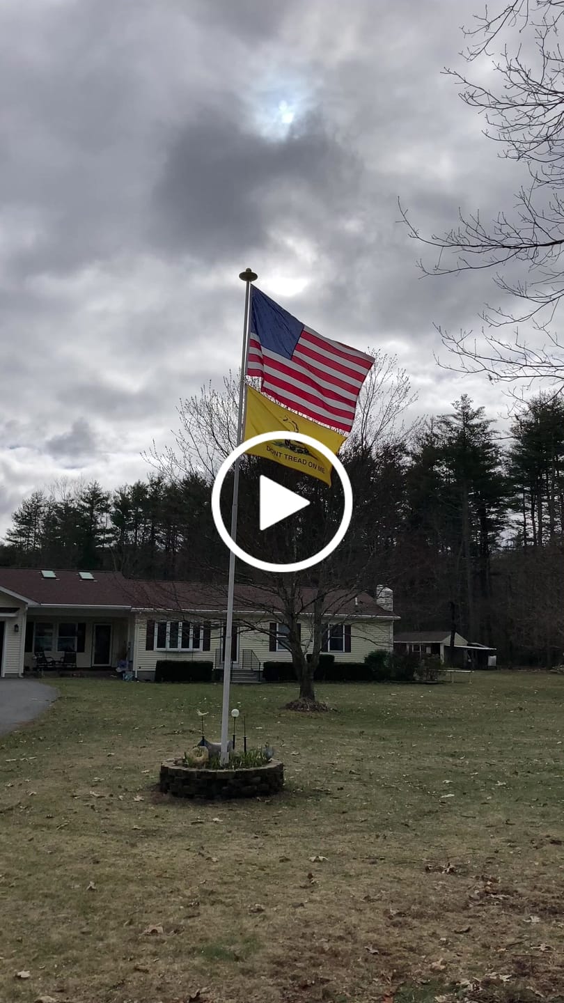 Customer video review of 3x5ft Premium Quality Gadsden Flag