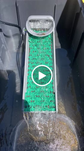 Customer video review of Clean-Up Buddy Kit