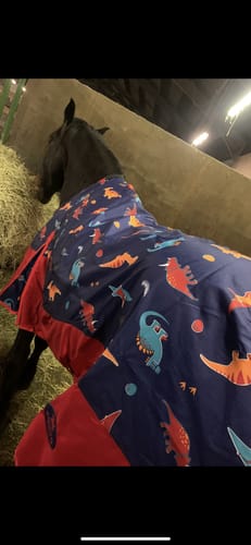 Customer photo review of Ponyo Backpack
