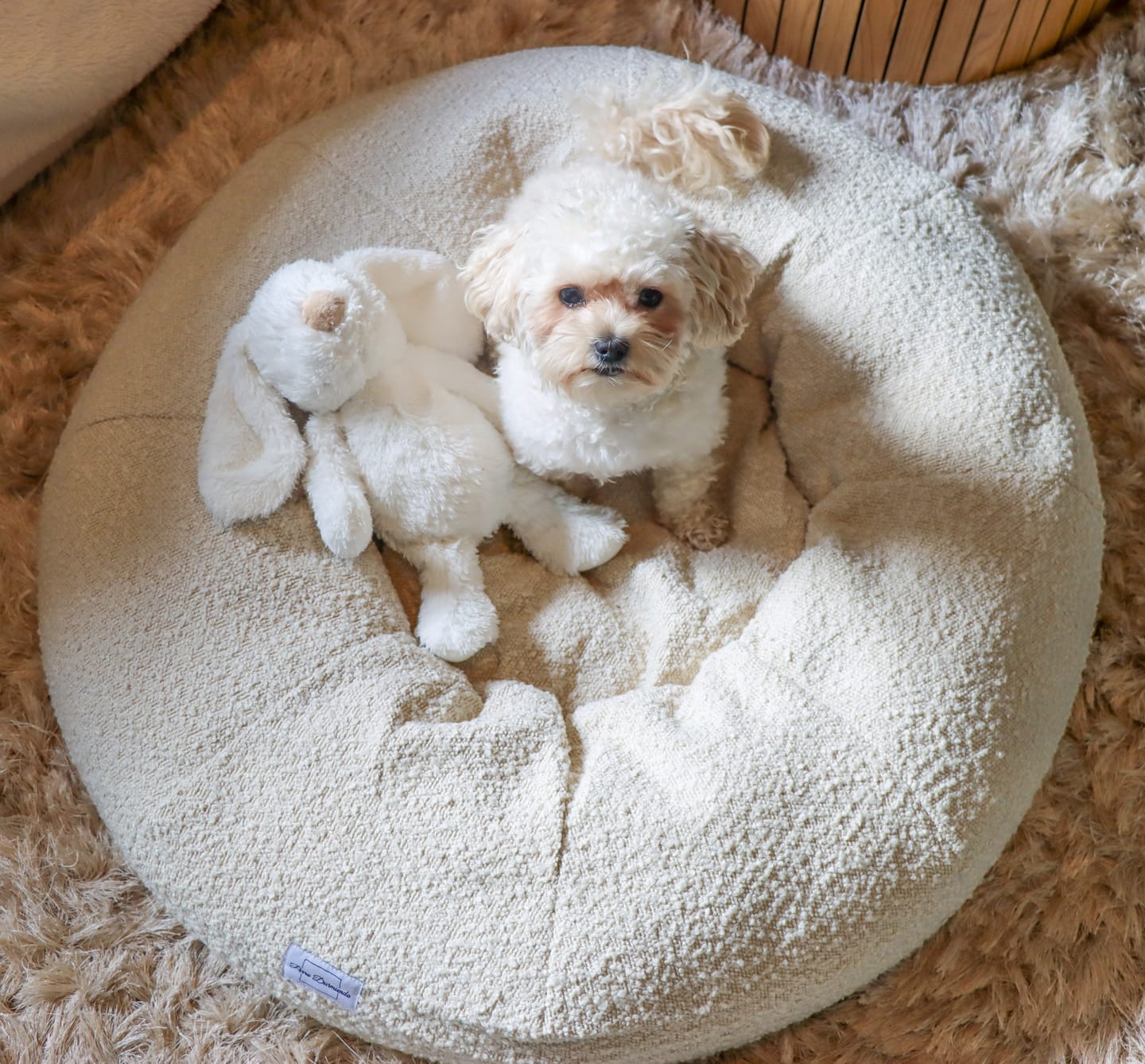 Customer photo review of Perro Durmiendo bouclé donut