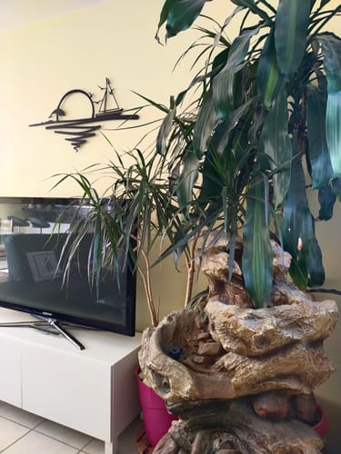 Customer photo review of Lever du soleil