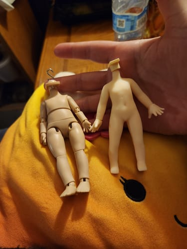 Customer photo review of KEMO XII CJD Body (Blank Face)