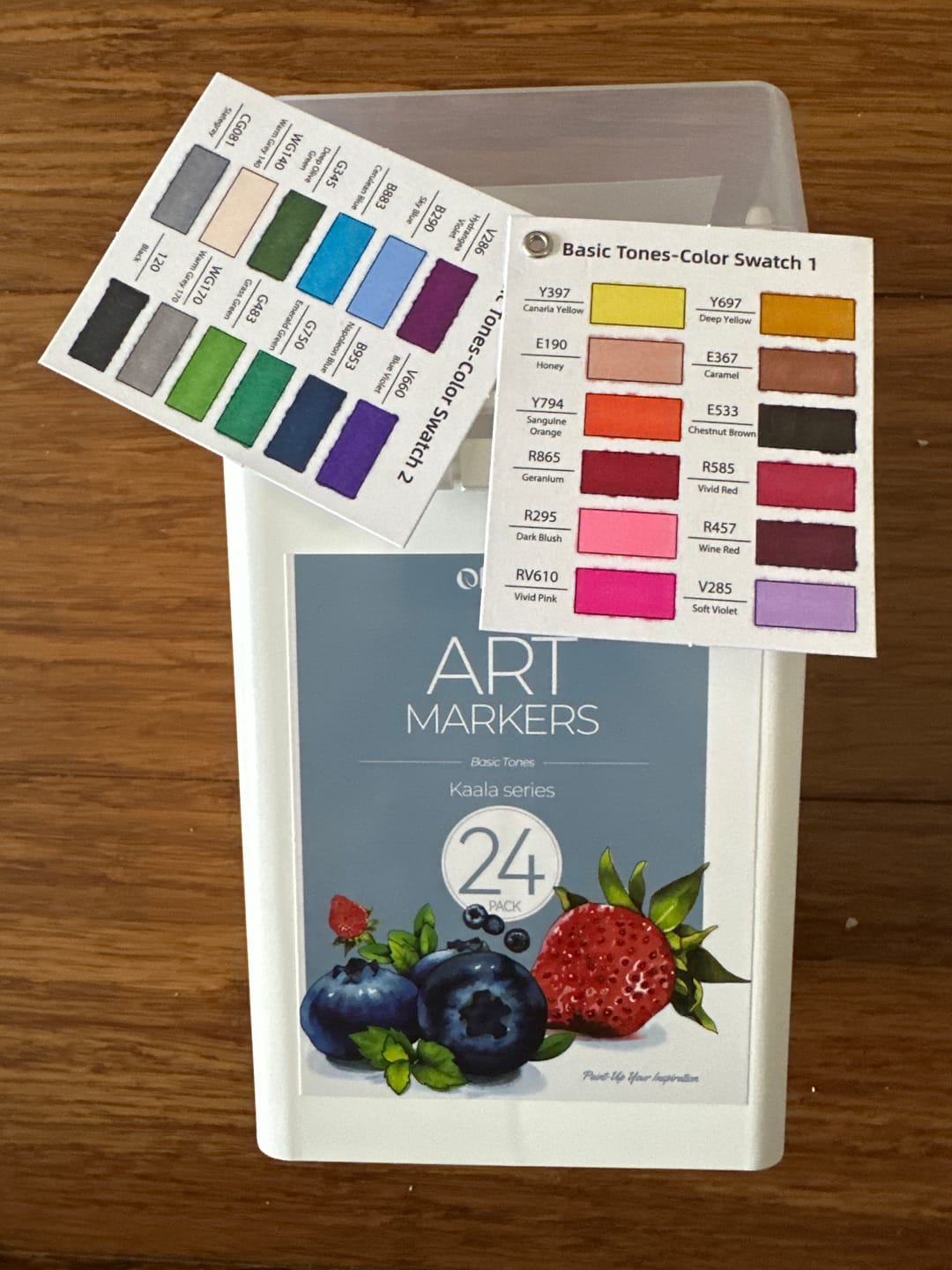 Customer photo review of Ohuhu Kaala Slim Broad and Fine Dual Tips Alcohol Art Markers - 24 Basic Colors