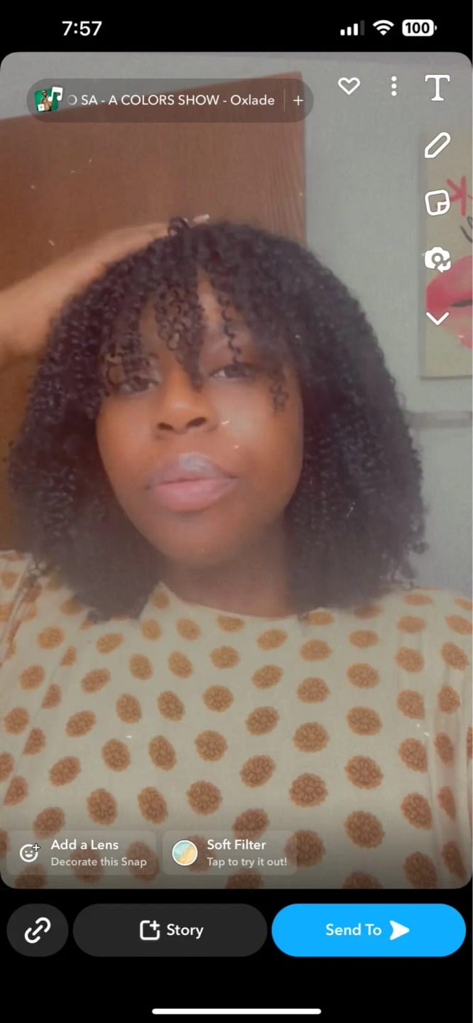 Customer photo review of Perruque Pour Femme Afro