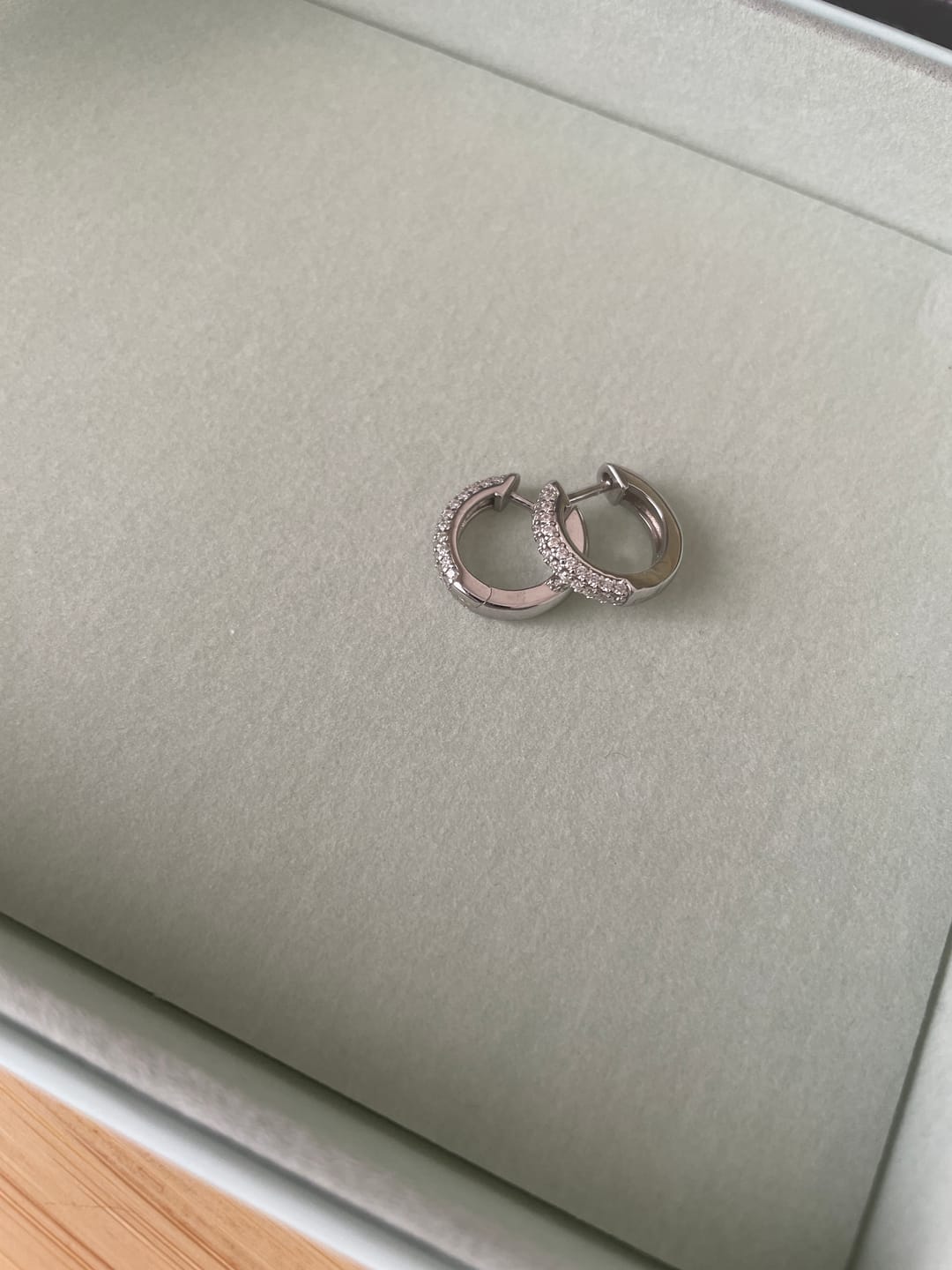 Customer photo review of MOISSANITE FROSTY HOOPS EARRINGS. - WHITE GOLD