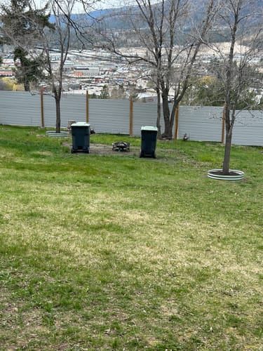 Customer photo review of 8" Tall Large Round