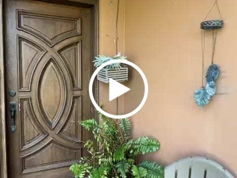 Customer video review of Artificial Green Plants Ferns Bushes Collection Landscape Decor