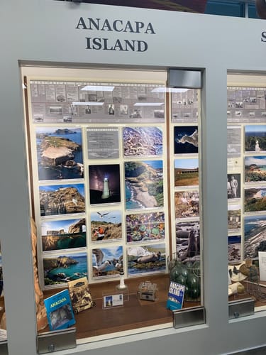 Customer photo review of Cinch Ladies White Cactus Print Snap Button Down Shirt CTW7245011