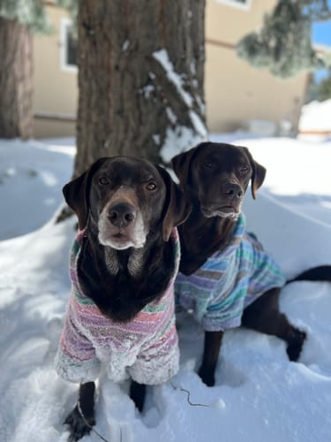 Customer photo review of Playa Poncho - Surprise Color