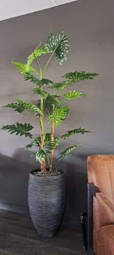 Customer photo review of Philodendron Kunstplant 160cm