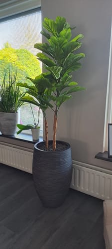 Customer photo review of Ficus Kunstplant 130cm