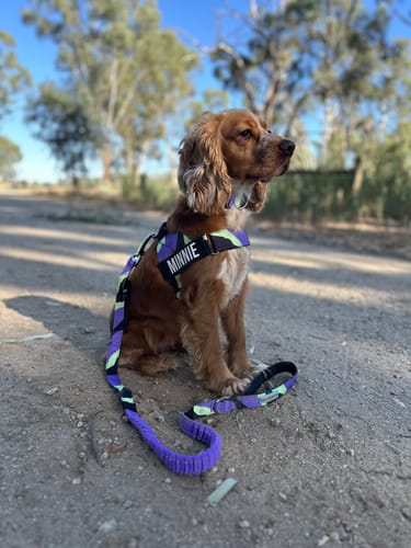 Customer photo review of WALK #001