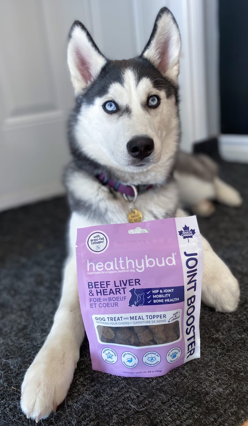 Customer photo review of Beef Joint Booster
